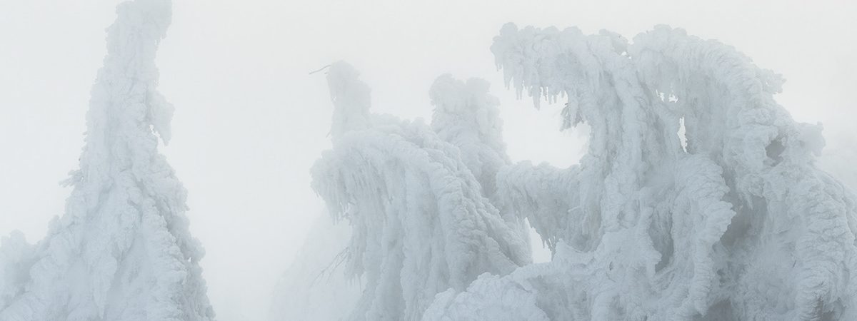 Mountain Creatures | Jan Erik Waider